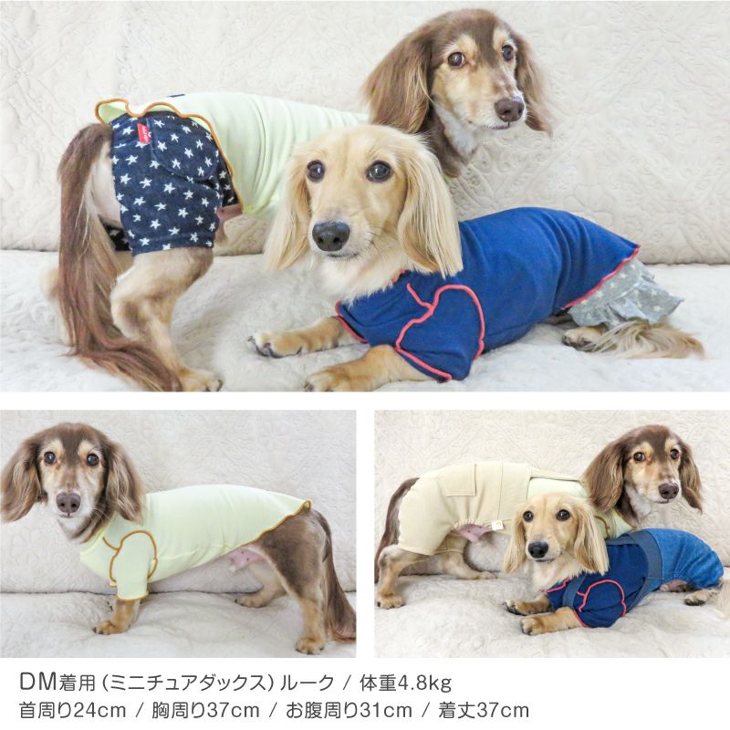 配色メロウハイネックTシャツ(ダックス・小型犬用)