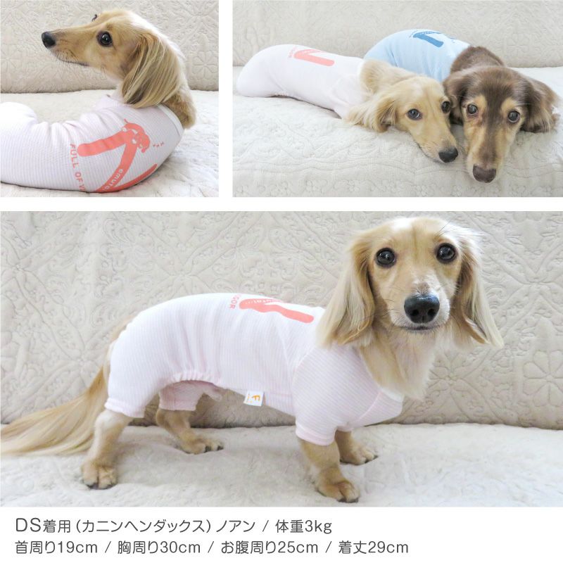 ねむたい プリント ボーダー お部屋着 ルームウェア パジャマ ダックス