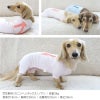 ねむたいプリントボーダーお部屋着(ダックス・小型犬用)