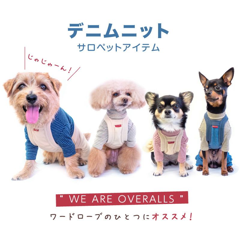 デニム ニット サロペット スカート おそろコーデ ダックス 小型犬用