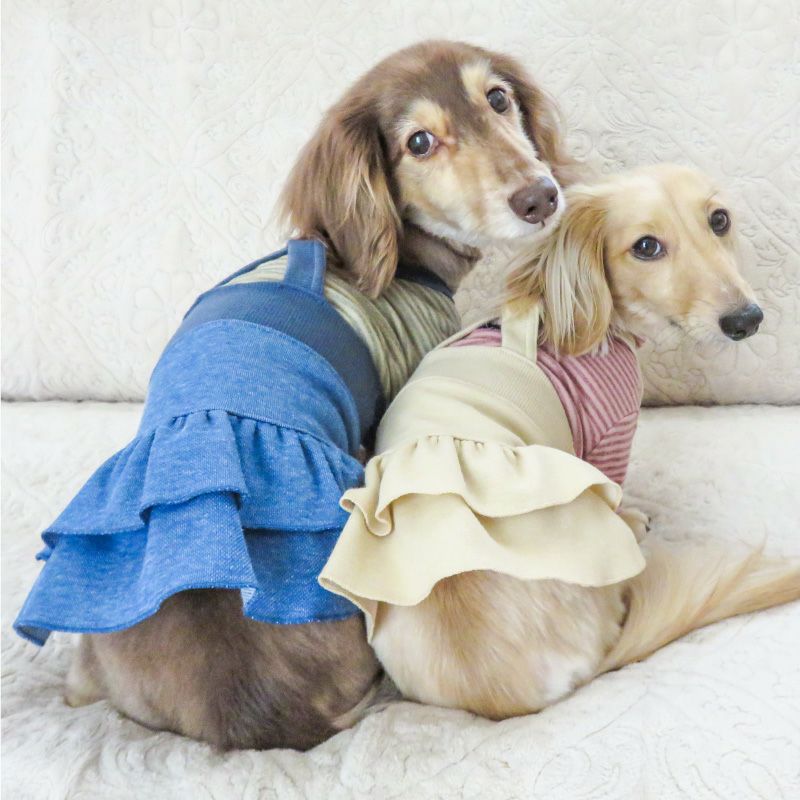 ハンドメイド犬服ブラウスとサロペットスカートセット デニム ニット サロペット スカート おそろコーデ ダックス 小型犬用