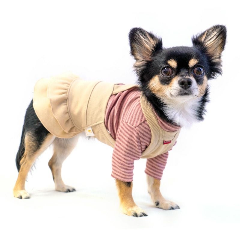 ハンドメイド犬服ブラウスとサロペットスカートセット デニム ニット サロペット スカート おそろコーデ ダックス 小型犬用