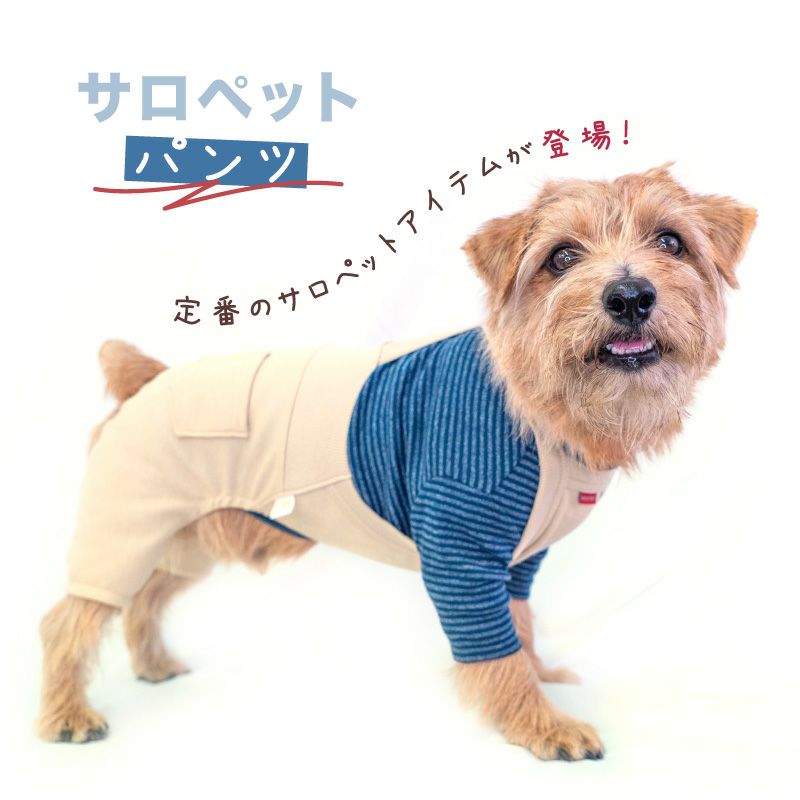 デニム ニット サロペット パンツ おそろコーデ ダックス 小型犬用