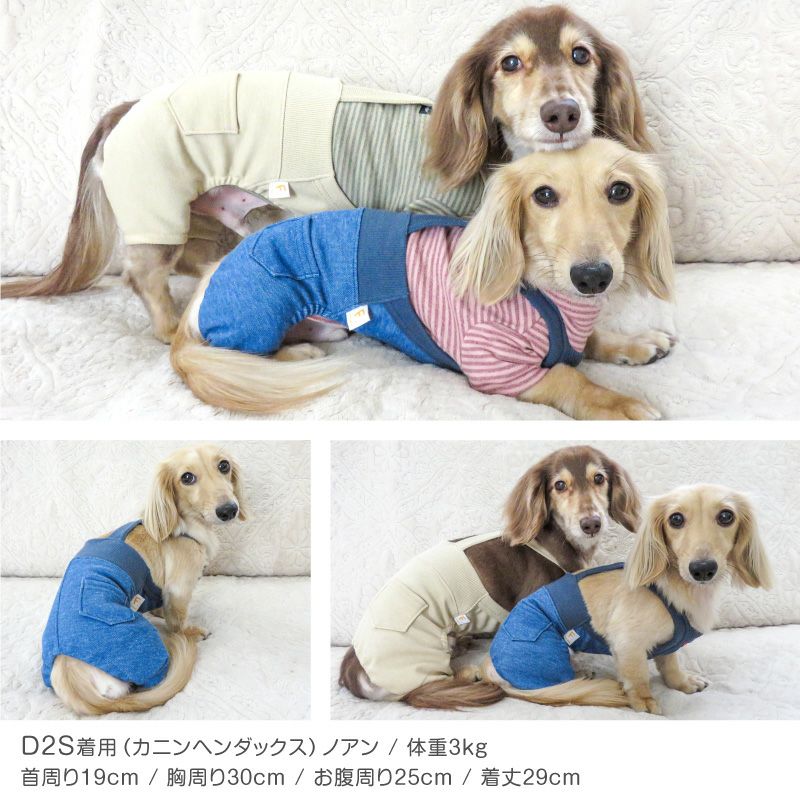デニム ニット サロペット パンツ おそろコーデ ダックス 小型犬用