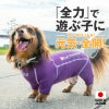 ドッグプレイ(R)裏起毛ラッシュガード(ダックス・小型犬用)