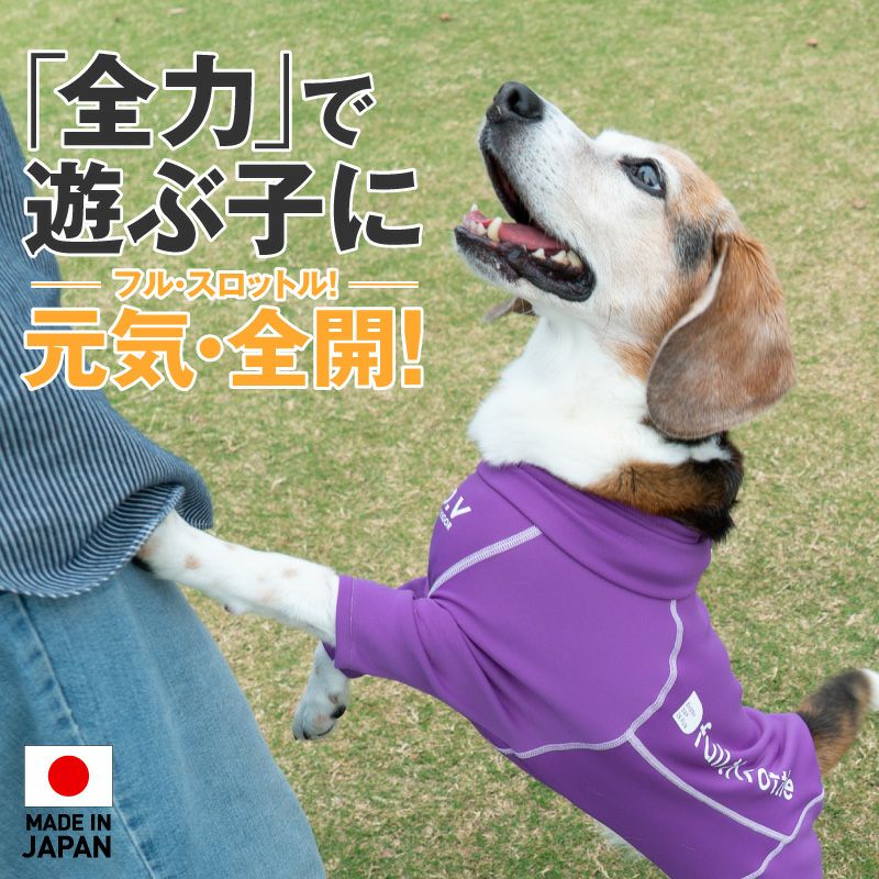 中型犬用 伸びて 着せやすい ドッグプレイ(R) 裏起毛 ラッシュガード