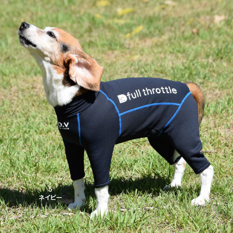 中型犬用 伸びて 着せやすい ドッグプレイ(R) 裏起毛 ラッシュガード