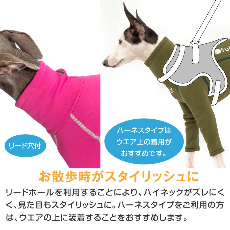★専用★　イタグレ　パグ　チワワ　セット MIXチワワ×イタグレ977 - 子犬や子猫たちのペット販売情報が満載