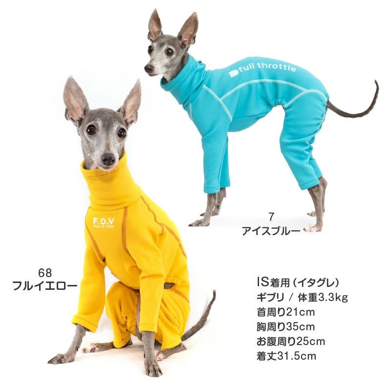 ★専用★　イタグレ　パグ　チワワ　セット ❤️家族決まりました❤️ 、 ⭐️newface⭐️ ミックス犬 (イタグレ