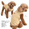 ワンポイントシンプルパイルタンク(ダックス・小型犬用)