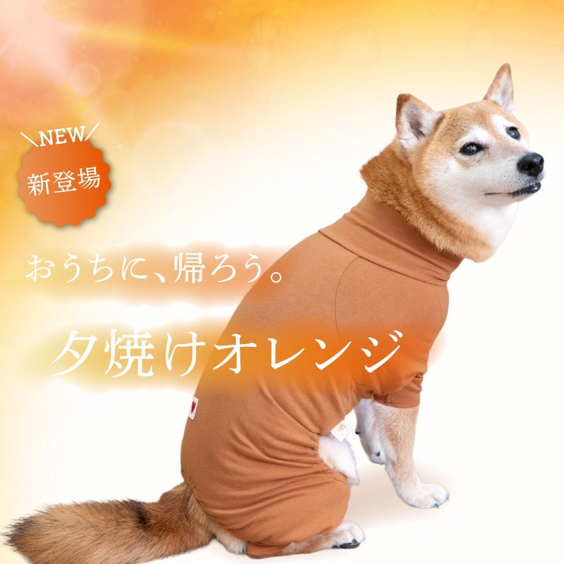 シンプル長袖インナーつなぎ(中型犬用)