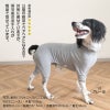 シンプル長袖インナーつなぎ(中型犬用)