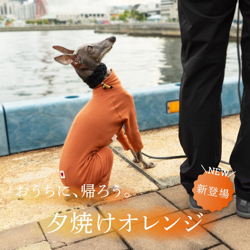 シンプル長袖インナーつなぎ(イタグレ用)