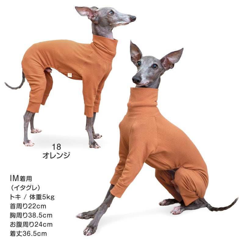 シンプル長袖インナーつなぎ(イタグレ用)