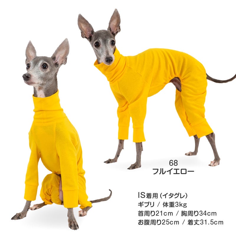 シンプル長袖インナーつなぎ(イタグレ用)