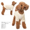 トイプーボアトレーナー(ダックス・小型犬用)