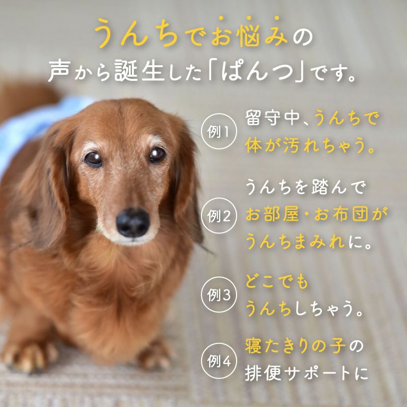 うんちキャッチ おむつカバー プーぱんつ(R) ダックス 小型犬用