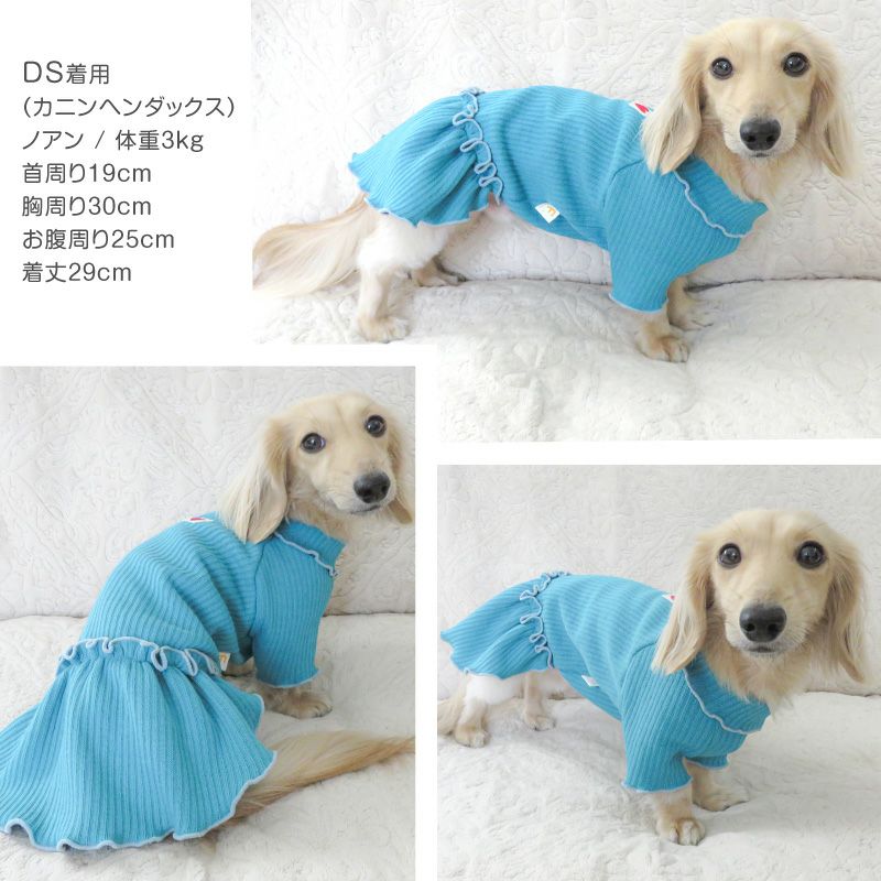 ラゲット リブ ワンピース ダックス 小型犬用 | ダックス、猫 、小型犬