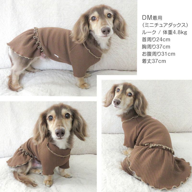 ラゲット リブ ワンピース ダックス 小型犬用 | ダックス、猫 、小型犬