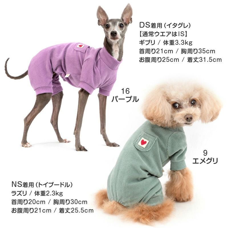 ミニロディーニ|ダックス犬柄ジャケット|size92-98 ミニチュアダックスフンドの服 | 犬服通販ドッグピース