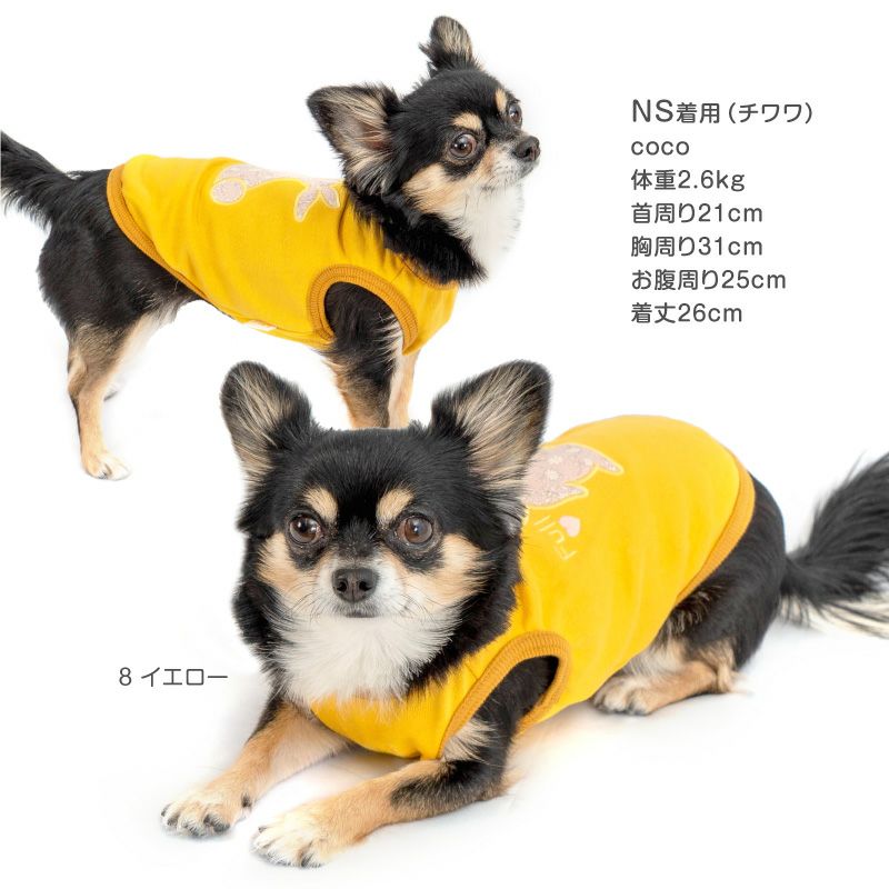 モチーフパッチ 裏毛 タンク ダックス 小型犬用 | ダックス、猫 、小型