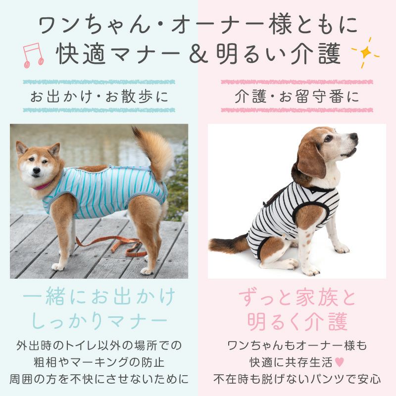 中型犬用 ボーダー ベア天 介護服 マナーガード(R) 男女兼用