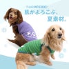 接触冷感綿モダール天竺タンク(ダックス・小型犬用)