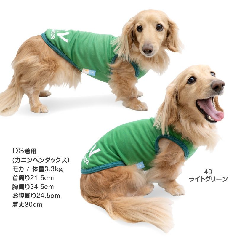 接触冷感 綿モダール 天竺 タンク ダックス 小型犬用 | ダックス、猫