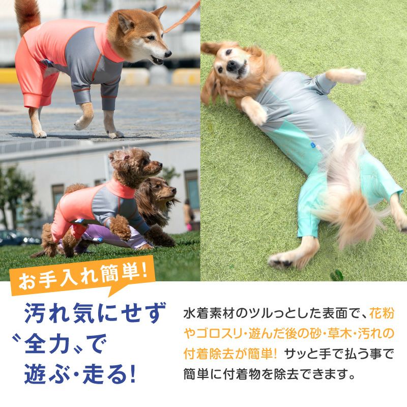 伸びて 着せやすい ドッグプレイ(R) 配色 撥水 レイン ラッシュガード