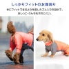 ドッグプレイ（R)配色撥水レインラッシュガード(ダックス・小型犬用)