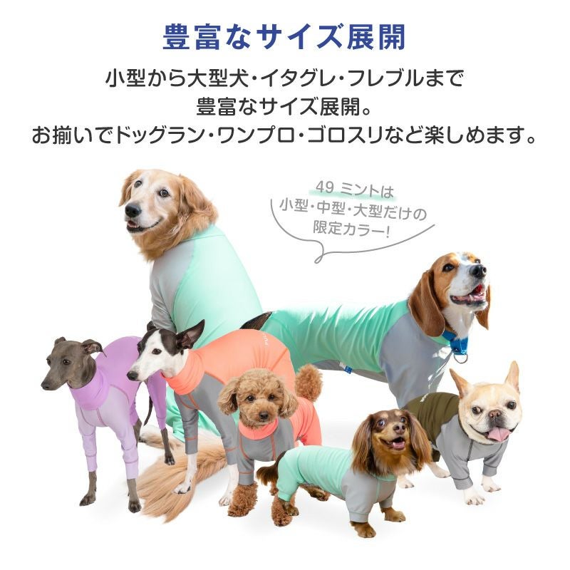 犬用品多数 パイル 介護服 マナーガード(R) 男女兼用 ダックス 小型犬用
