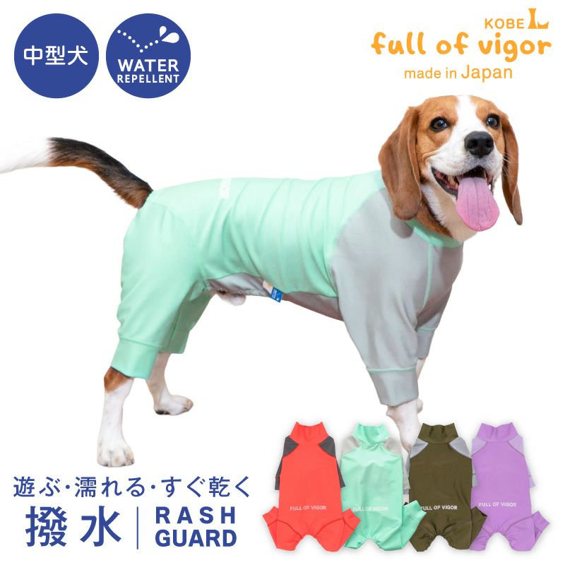 中型犬用 伸びて 着せやすい ドッグプレイ(R) 配色 撥水 ラッシュ 