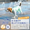 ドッグプレイ（R)配色撥水ラッシュガード(中型犬用)