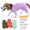 ドッグプレイ（R)配色撥水ラッシュガード(中型犬用)