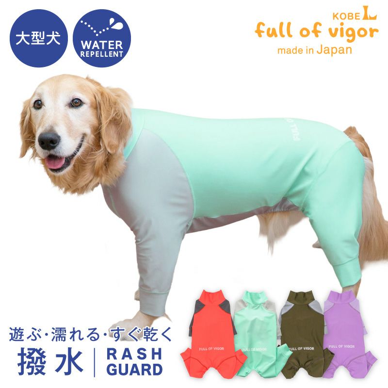 大型犬用 伸びて 着せやすい ドッグプレイ(R) 配色 撥水 ラッシュ