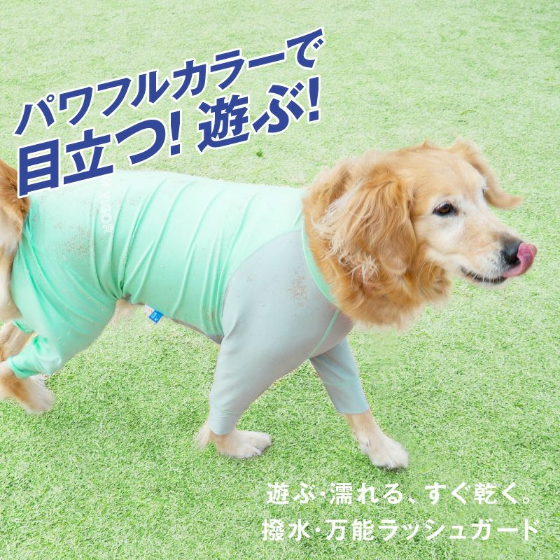 大型犬用 伸びて 着せやすい ドッグプレイ(R) 配色 撥水 ラッシュ