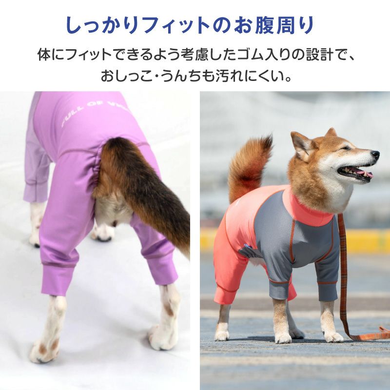 大型犬用 伸びて 着せやすい ドッグプレイ(R) 配色 撥水 ラッシュ