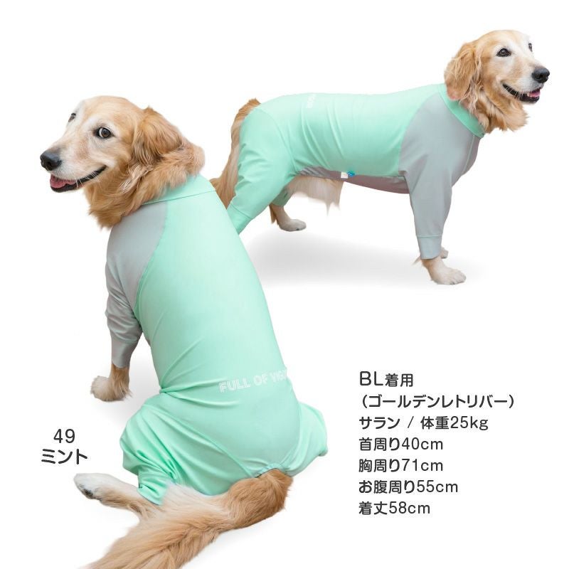 大型犬用 伸びて 着せやすい ドッグプレイ(R) 配色 撥水 ラッシュ