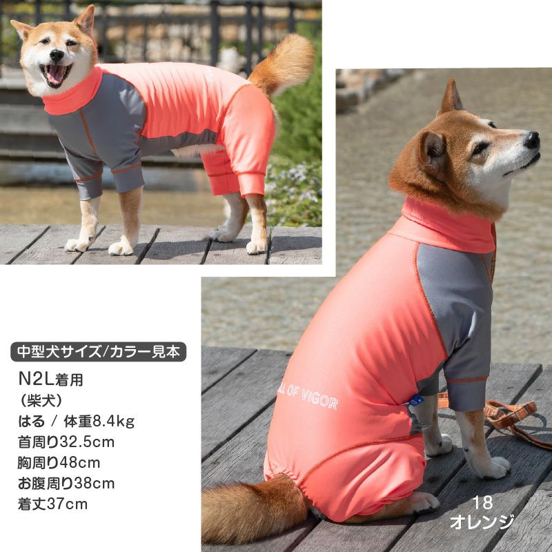 ドッグプレイ（R)配色撥水ラッシュガード(大型犬用)