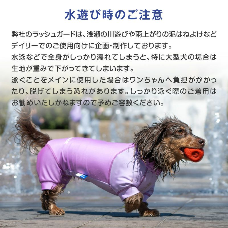 大型犬用 伸びて 着せやすい ドッグプレイ(R) 配色 撥水 ラッシュ