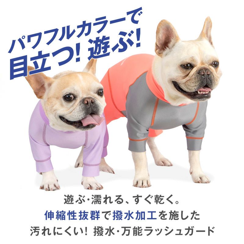フレブル用 伸びて 着せやすい ドッグプレイ(R) 配色 撥水 ラッシュ