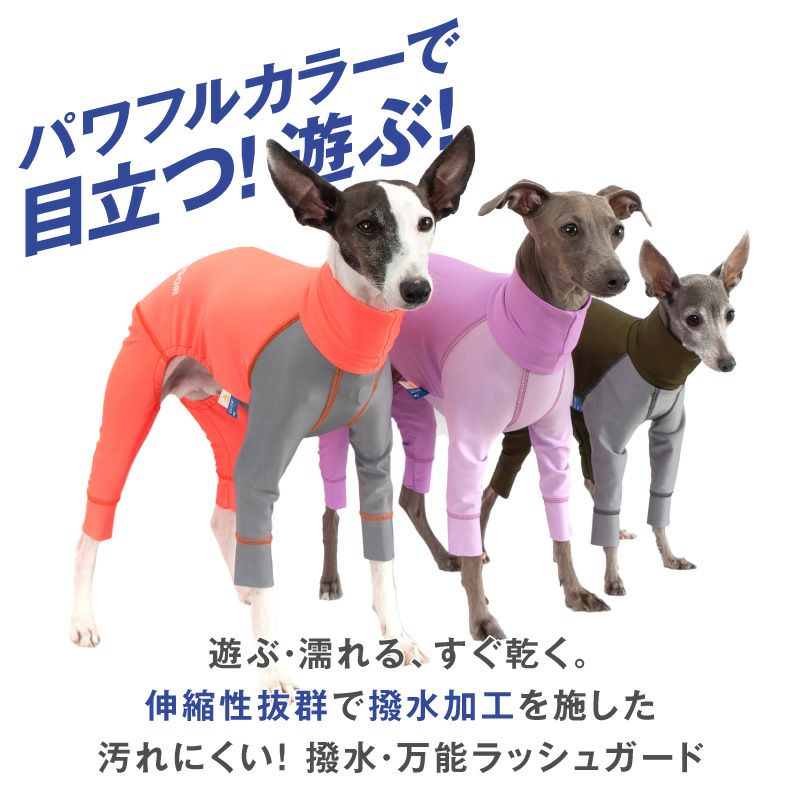 イタグレ用 伸びて 着せやすい ドッグプレイ(R) 配色 撥水 ラッシュ
