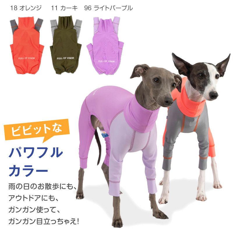 イタグレ用 伸びて 着せやすい ドッグプレイ(R) 配色 撥水 ラッシュ イタグレ用 伸びて 着せやすい ドッグプレイ(R) 配色 撥水 ラッシュ
