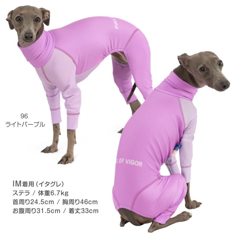 ★専用★　イタグレ　パグ　チワワ　セット ❤️家族決まりました❤️ 、 ⭐️newface⭐️ ミックス犬 (イタグレ