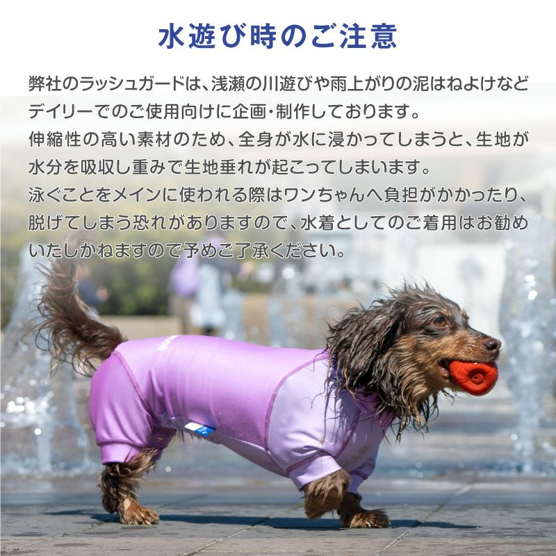 イタグレ用 伸びて 着せやすい ドッグプレイ(R) 配色 撥水 ラッシュ