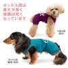 シンプルベア天竺袖なしつなぎ(ダックス・小型犬用)