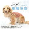 接触冷感ロゴプリントタンク(ダックス・小型犬用)