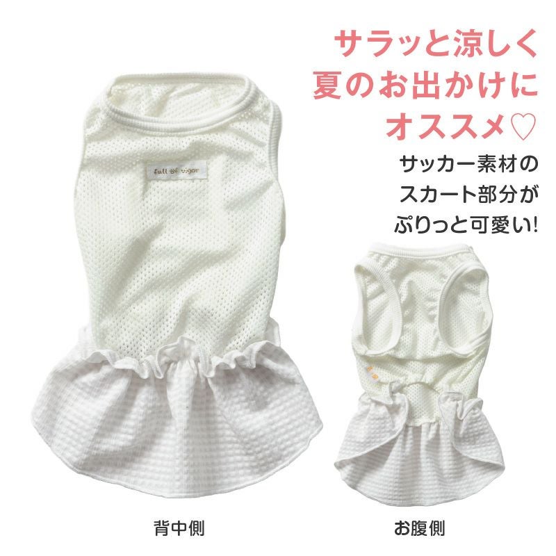 チェック フリル メッシュ ワンピース ダックス 小型犬用 | ダックス