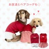 チェックフリルメッシュワンピース(ダックス・小型犬用)