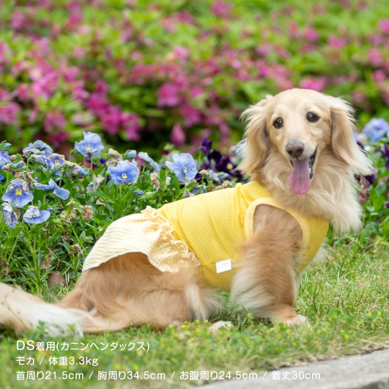 チェック フリル メッシュ ワンピース ダックス 小型犬用 | ダックス